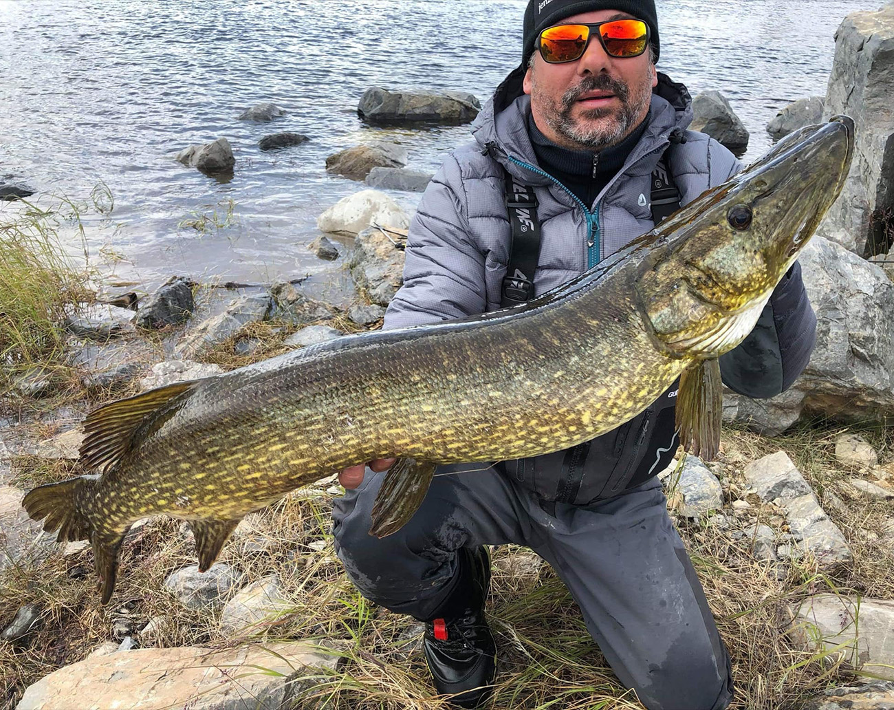 Jenzza Lures Tärnö Swim 12cm